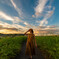 Midsummer　夕雲