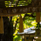 夏の那谷寺