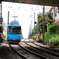 三茶へ向かう青い電車