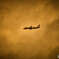 Airplane