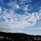 鱗雲・・・かな