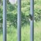 訪問者