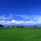 夏の雲と只見線