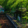 『秘境の駅』－樽見鉄道 日当駅－