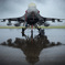 The Hawk Shrouded in Rain
