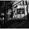 monochrome