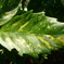 P1060854