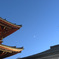 浅草寺