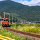 田舎の路線