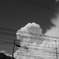 夏雲