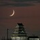 紅の空に月と城