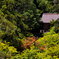 夏の那谷寺２