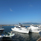 青い海と白い船