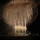 今治おんまく2025 (5)