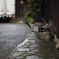 熟練