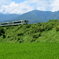 小海線