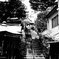 Street Snap
