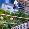 この暑い夏でも神さんは働いてはるのか？