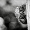 C8856469-3104-4F01-AD89-6EFB5EE58636