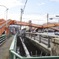 歩道橋のある町で
