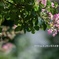 私的写真句