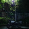 夜に佇む