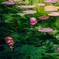 Nameless Pond