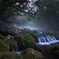 霧の森と目覚めの水精