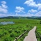 八島ケ原湿原