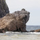 カエル島
