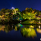 夏の幻想庭園 2025 part 2