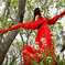 NZ8_0181_2024_04_29_1255