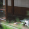 田舎のおじいちゃんち…*°