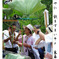 俳諧歳時記A624・・・♪