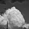 入道雲