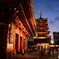 NZF_4174
