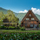 Thatched Roof