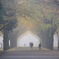 霧の公園