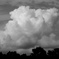 きょうの夏雲・・・