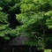 小石川後楽園