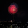 滝の水公園で東海市の花火