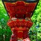 高さ６ｍ