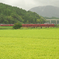 大雨の中の特急ゆふ