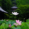屹立