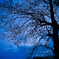 DSCF4398