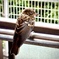 お眠かな