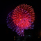 夜空を彩る大輪