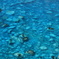 青い海