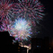 夜空を彩る大輪
