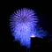 夜空を彩る大輪